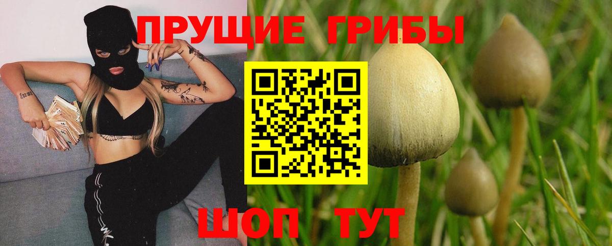 Ахтубинск  Галлюциногенные грибы MAGIC MUSHROOMS  Вход с VPN 